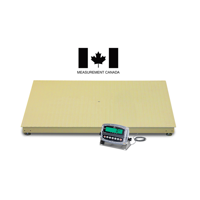 Measurement Canada Approved Floor Scales-image